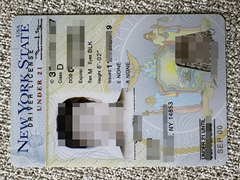 New York driver license-1