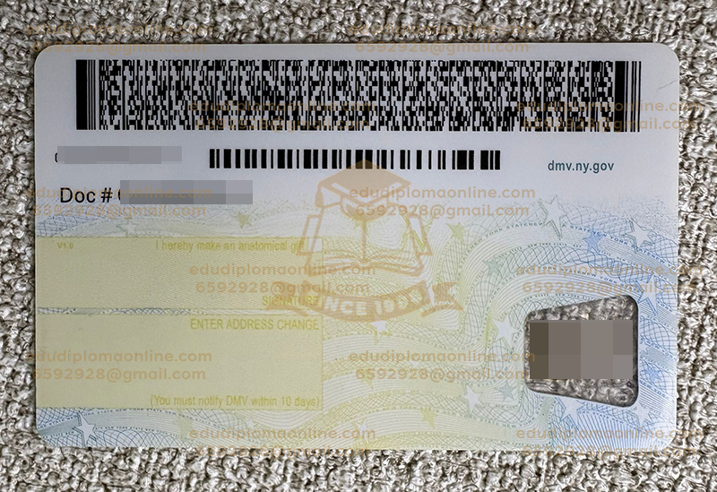 New York driver license Back