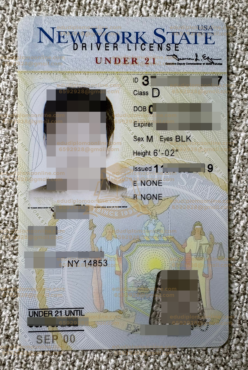 New York driver license