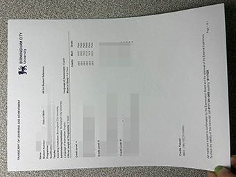 Birmingham City University transcript copy