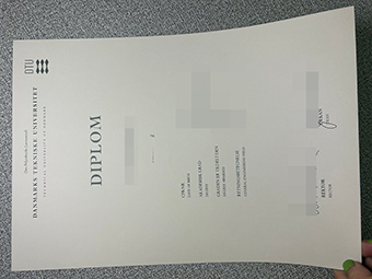 DTU-Diplom-1