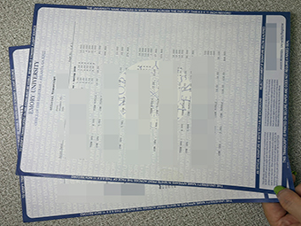 Emory University transcript-1