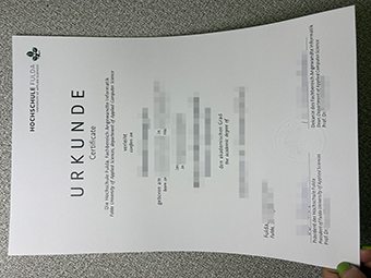 Hochschule Fulda Urkunde-1