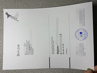 Hochschule Wismar diploma-1