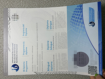 IB-Diplom-1