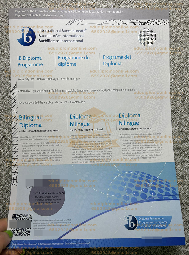 IB 디플로마