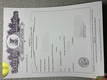 Illinois Apostille copy