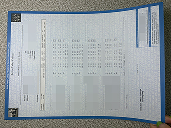 尔湾谷学院成绩单-1