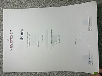 Leuphana Universität Lüneburg Urkunde-1