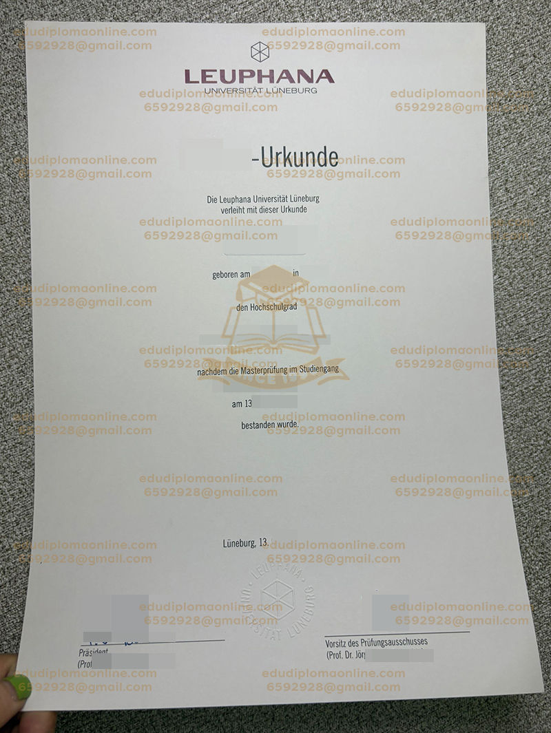 Leuphana Universität Lüneburg Urkunde