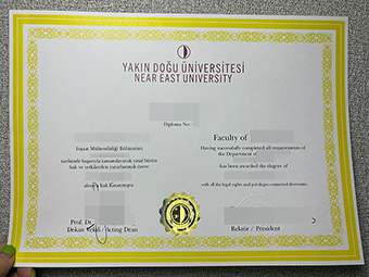 东北大学文凭-1