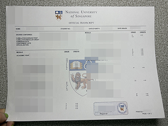 NUS transcript-1