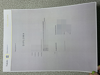 Diplom der Universität Tilburg-1
