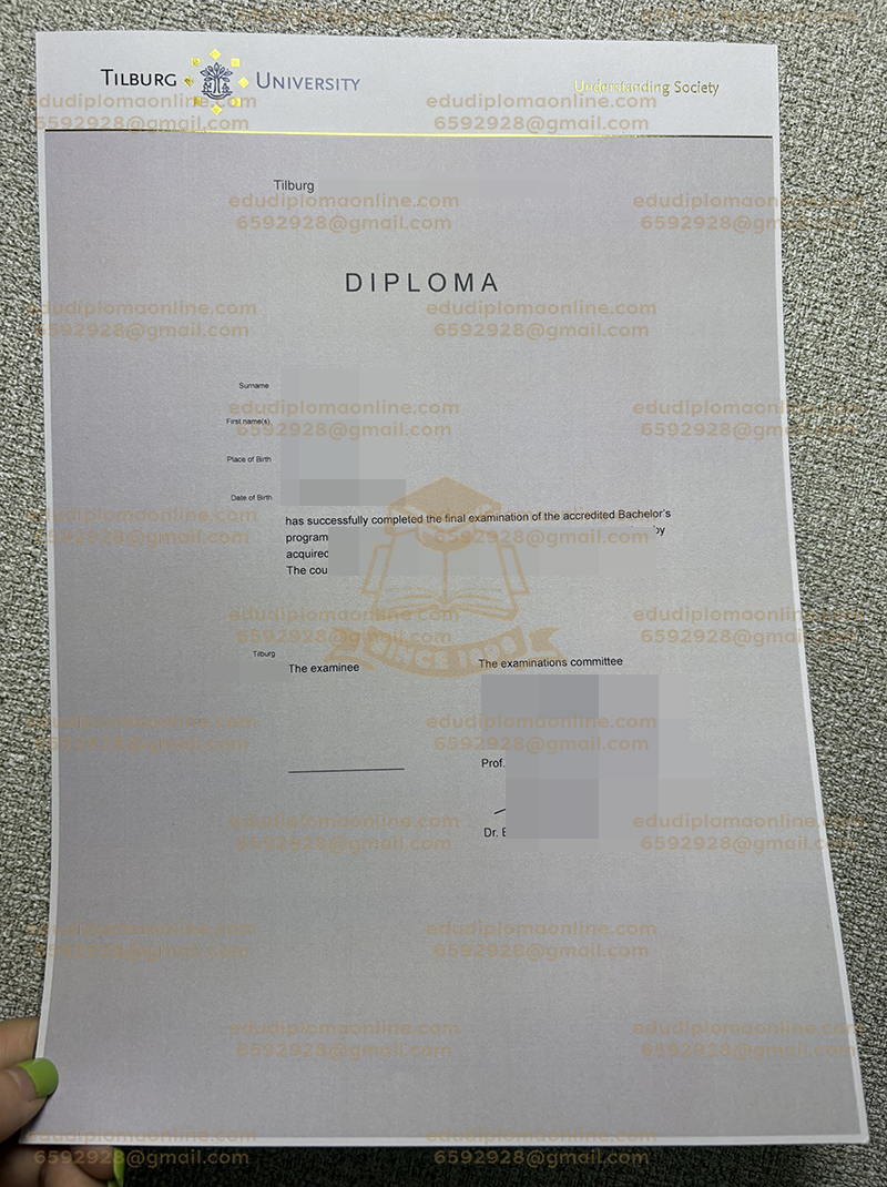 蒂尔堡大学文凭