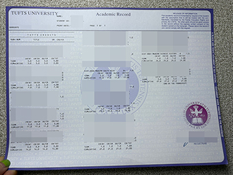 塔夫茨大学成绩单-1
