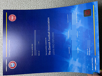 UEFA PRO diploma copy