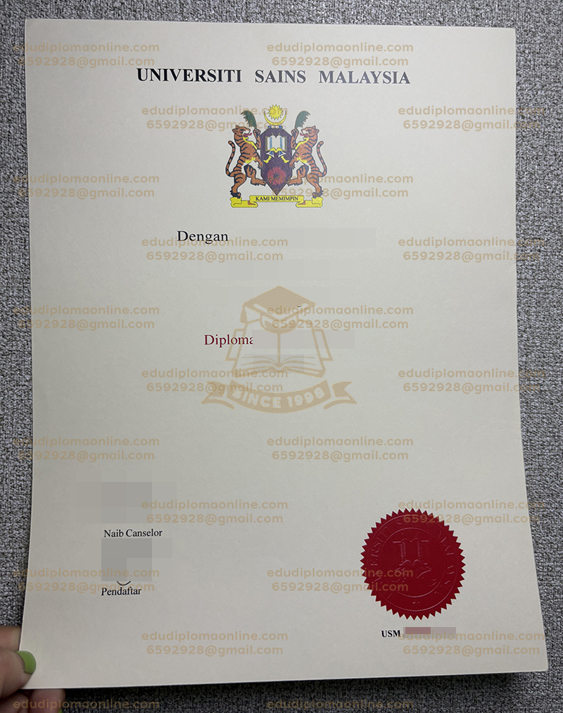 USM 디플로마