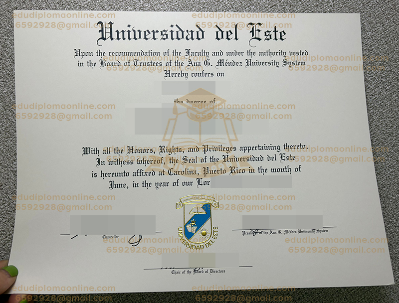 埃斯特大学文凭