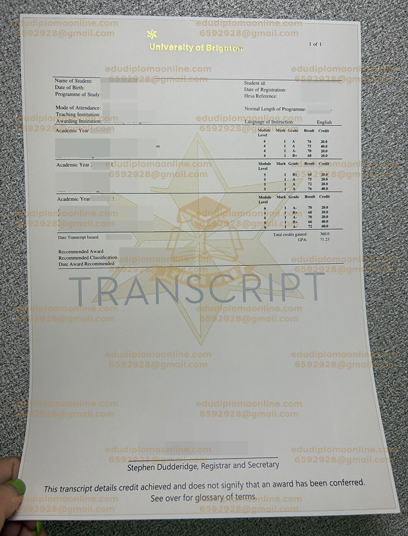 布莱顿大学成绩单