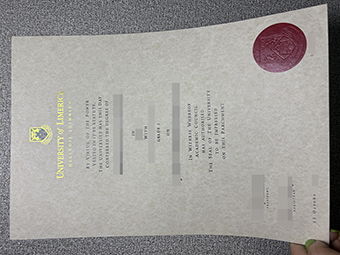 University of Limerick degree-1