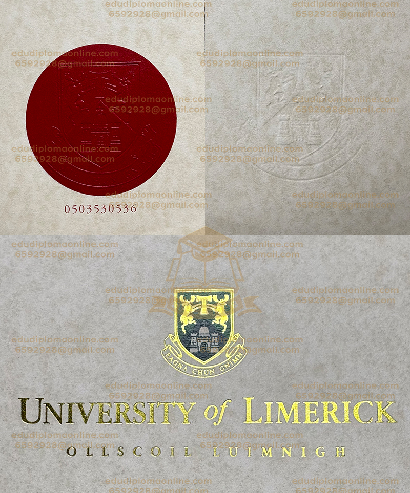 University of Limerick degree gold-shining logo and embossed seal