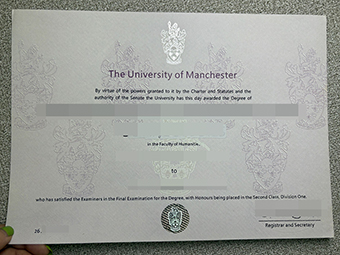 University of Manchester degree-1