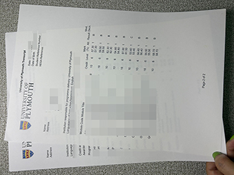 University of Plymouth transcript-1