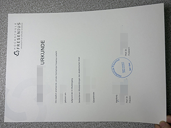 Hochschule Fresenius Urkunde-1