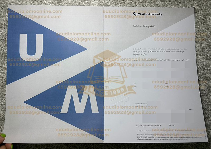 Maastricht University diploma