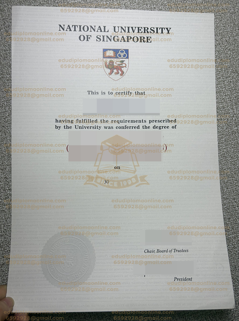 新加坡國立大學學位