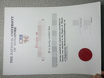 NUS-Diplom-1