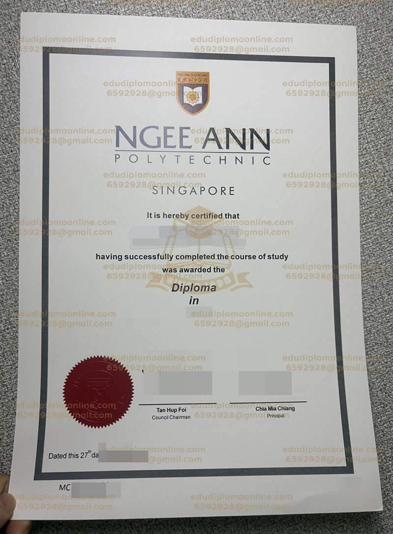 Ngee Ann Polytechnic-Diplom