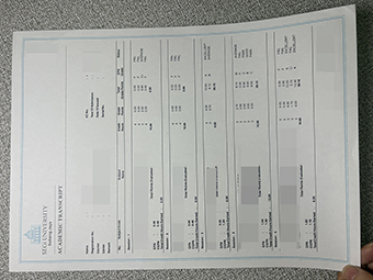 SEGi Universität transcript-1