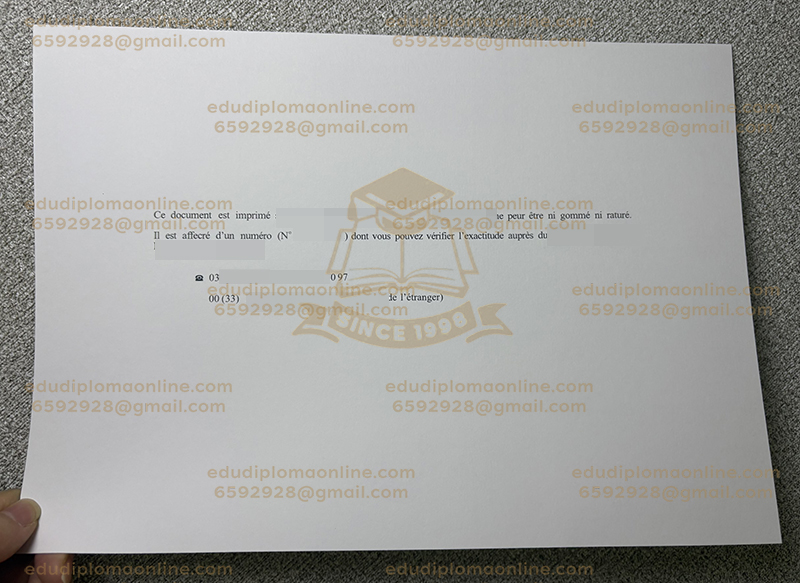 Université de Toulouse III diploma back