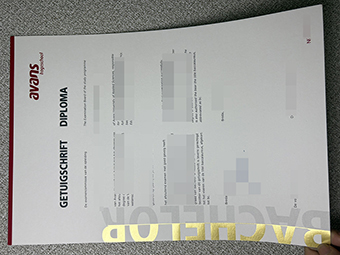 Avans Hogeschool diploma-1