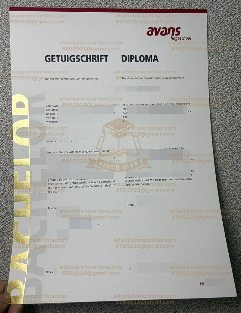 Avans Hogeschool diploma
