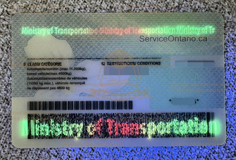 Ontario ID Back Watermark