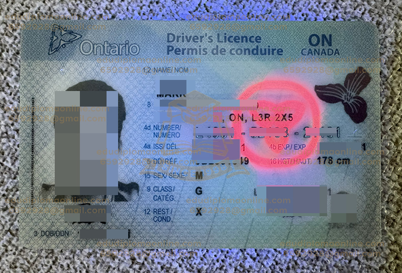 Ontario ID Front