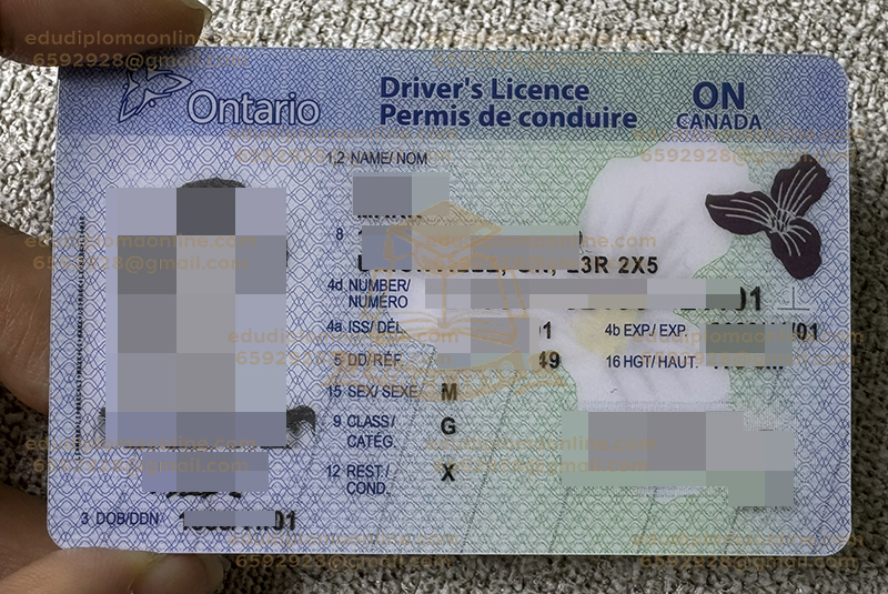 Ontario ID