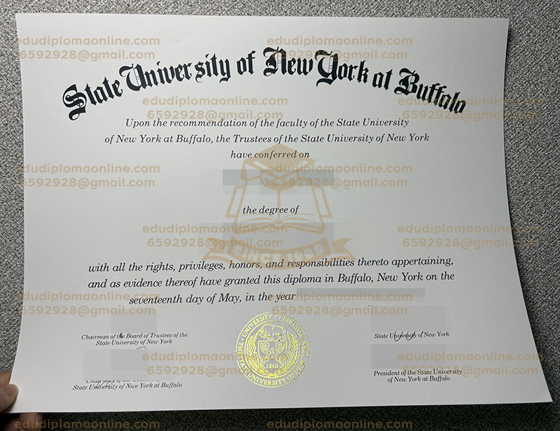 SUNY Buffalo diploma
