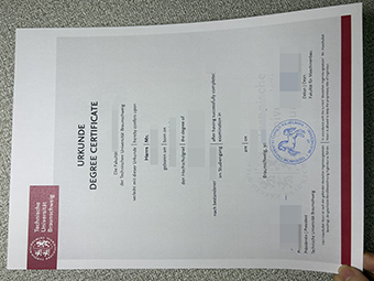 TU Braunschweig Urkunde-1