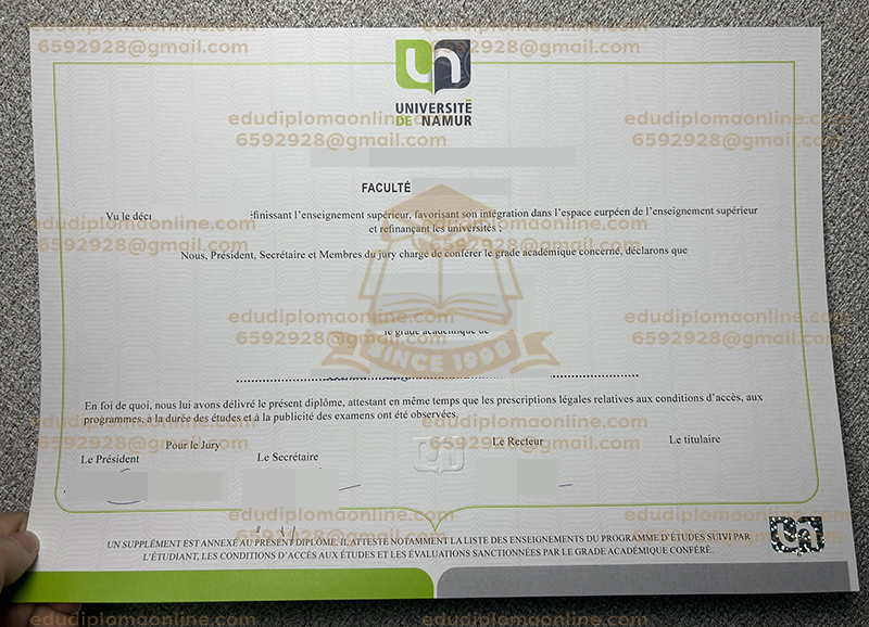 Université de Namur diploma