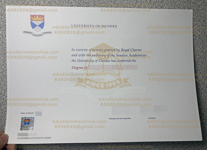 University of Dundee degree