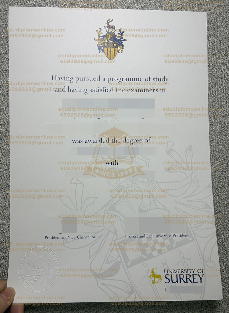 University of Surrey degree