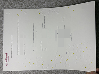 Hogeschool Inholland diploma-1