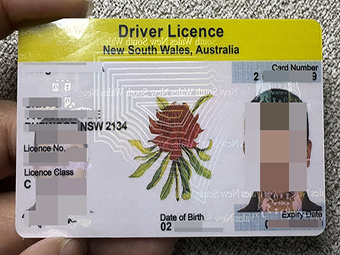 NSW Driver Licence-1