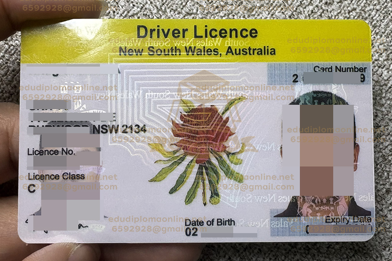 NSW Driver Licence