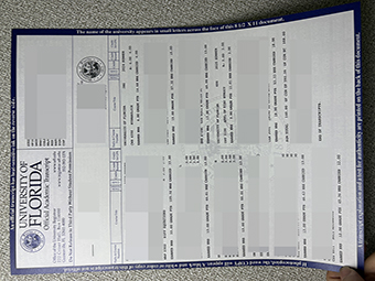 University of Florida transcript-1